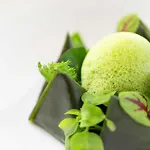 Maison Pic 발랑스