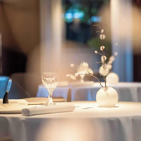 Hotel Maison Pic 5*